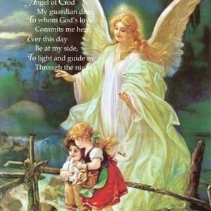 Meet your Posher, Patty